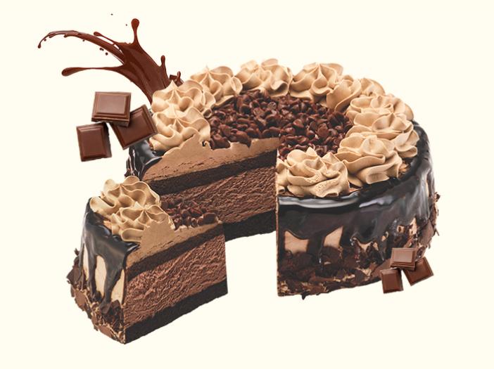 Buy Chocolate Cake 500ml online from Havmor Icecream Parlaur abohar