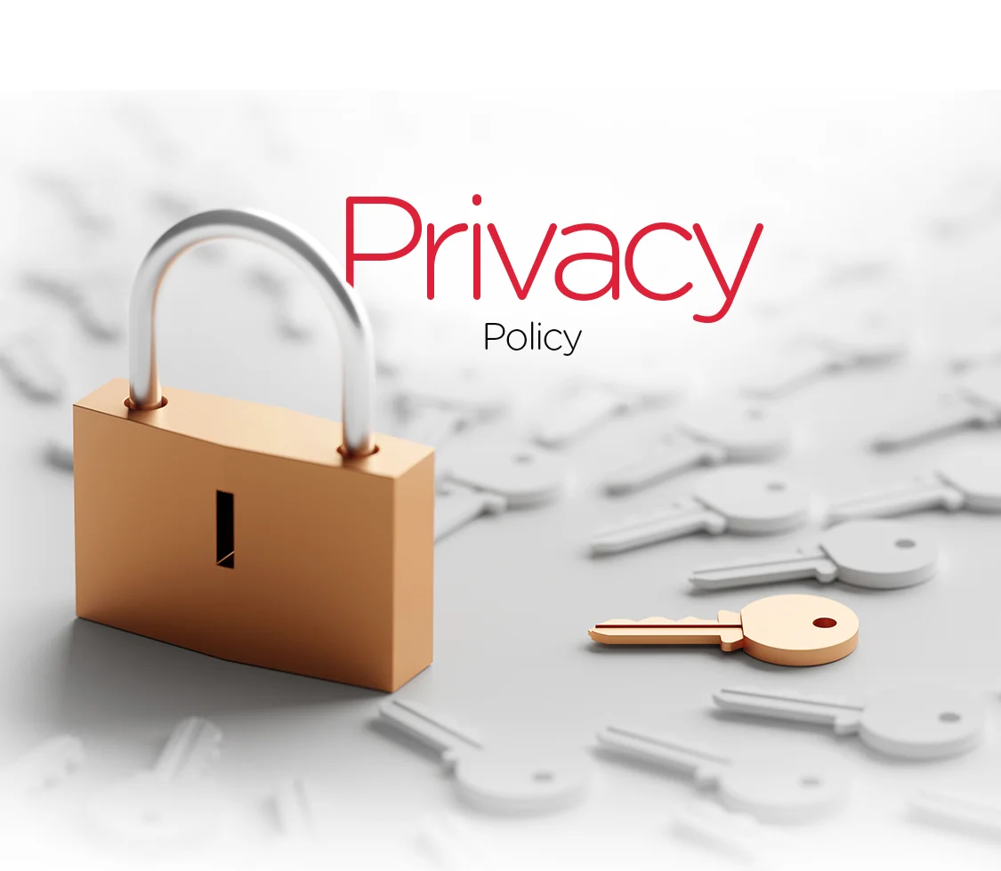 Privacy Policy | sanjeevani millets